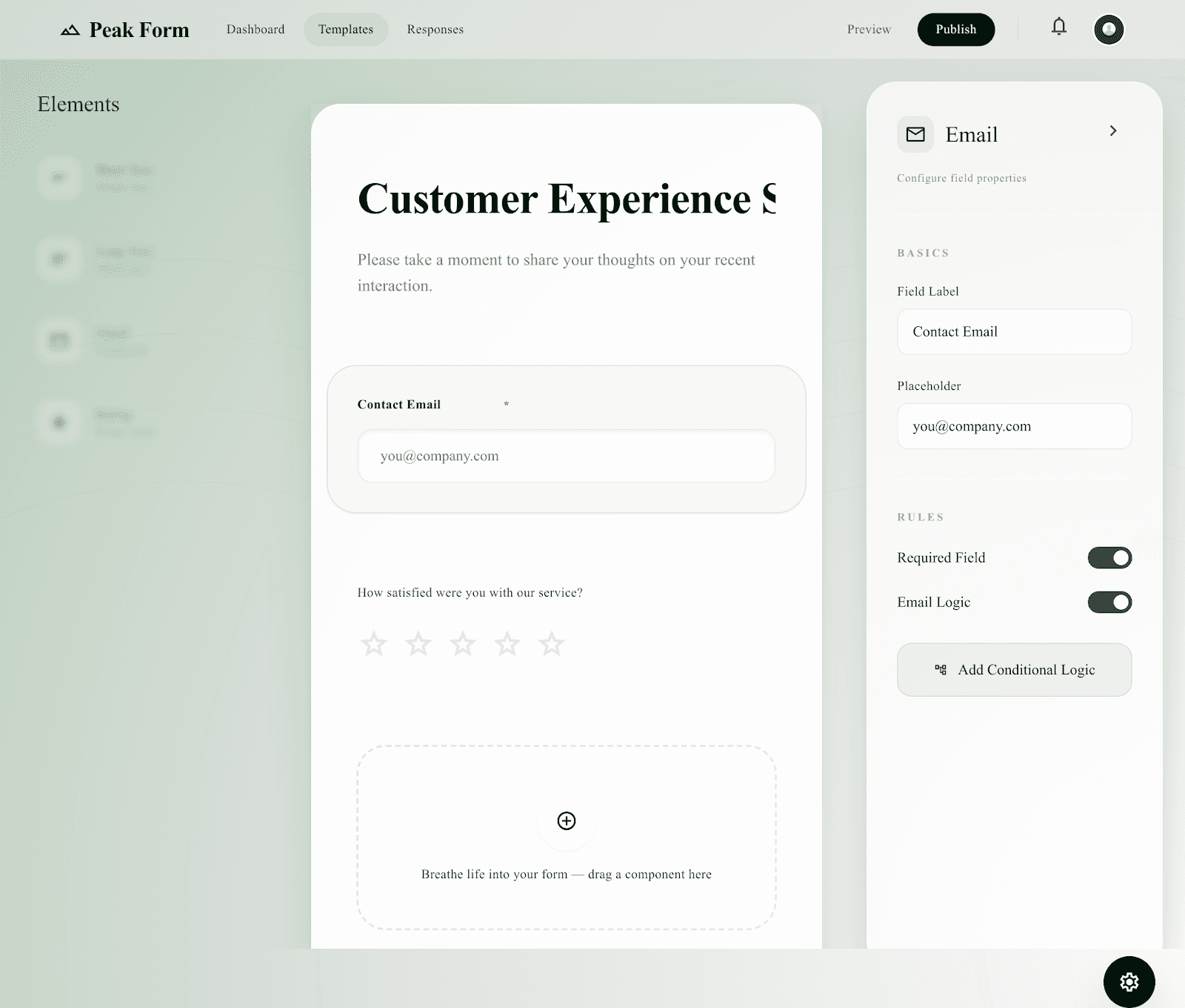 PeakForm builder interface
